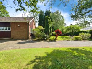 Photo 42- click for photo gallery